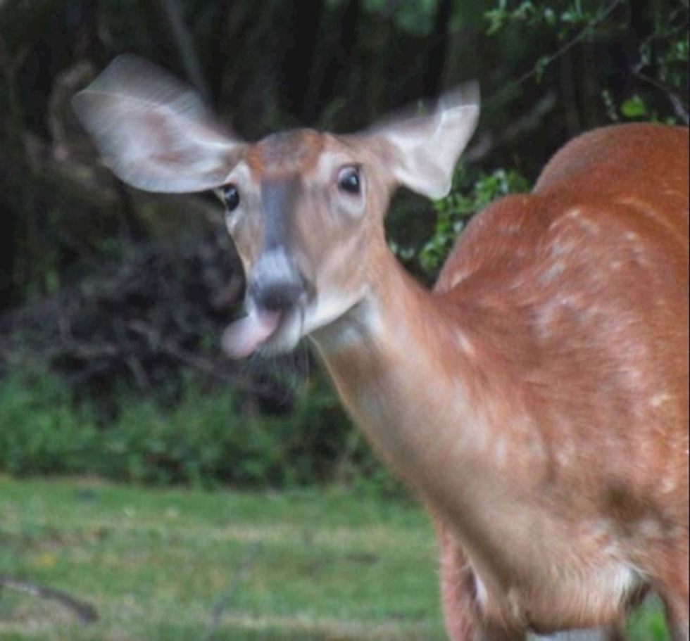 5941a6fd 727a 4990 9266 6a3b5c61bac8