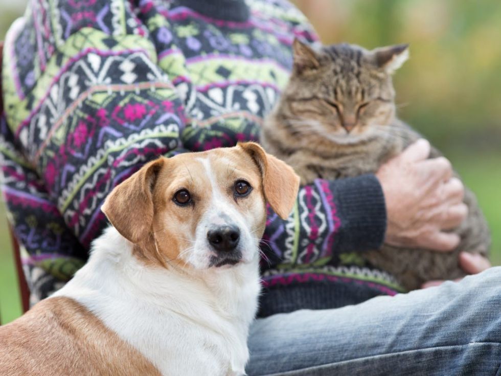 5a4bc1cbb0bcd5ab188b7998