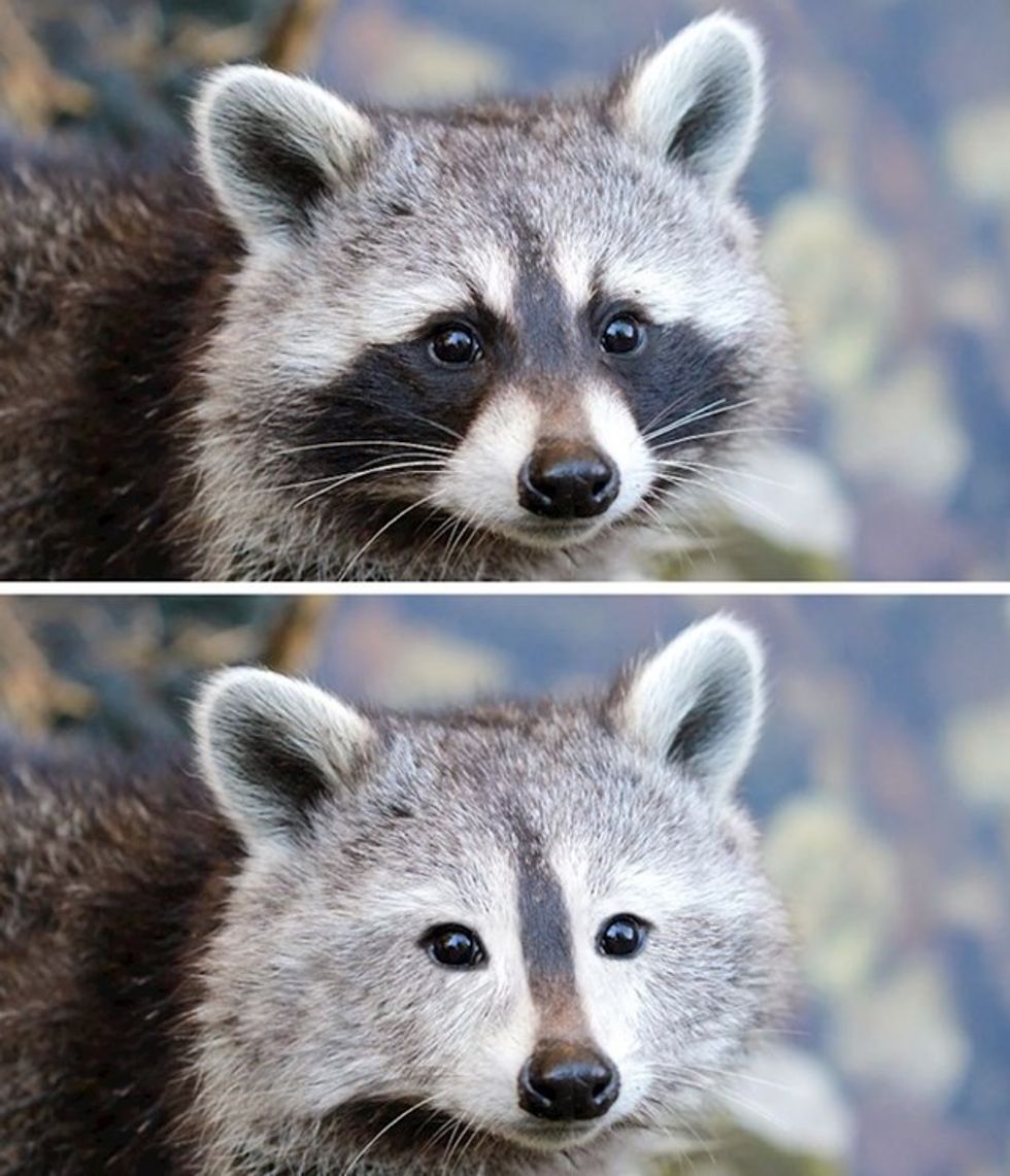 5a6f68ae 473a 41fb 9bee 07fb755e3ca1