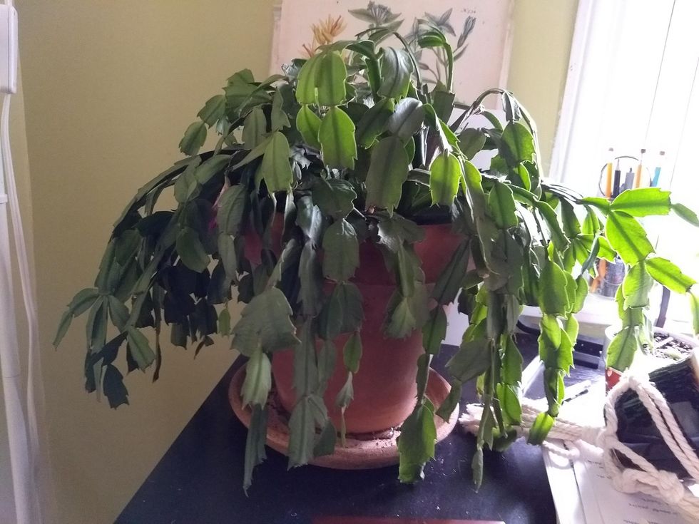 5b6b250f4g901 scaled