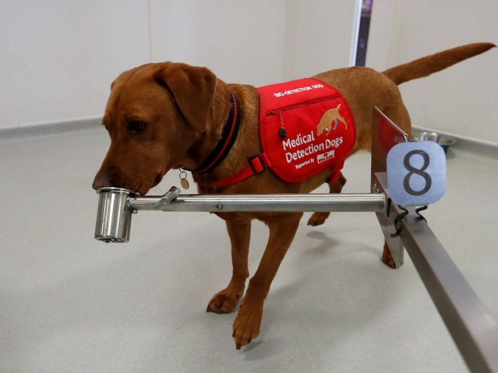 5ec680c91918242c8120b727