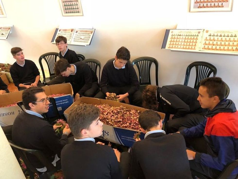 5f6aee6b86246 34777579 1805650102826818 4871555364018978816 o 700