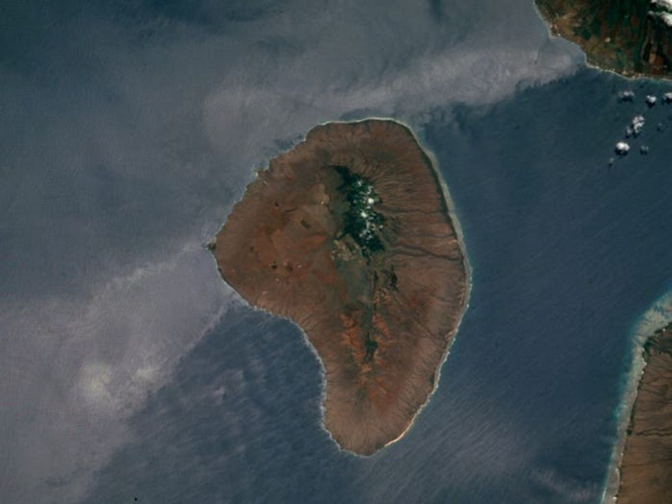 5fd9201e6524f100197922c0