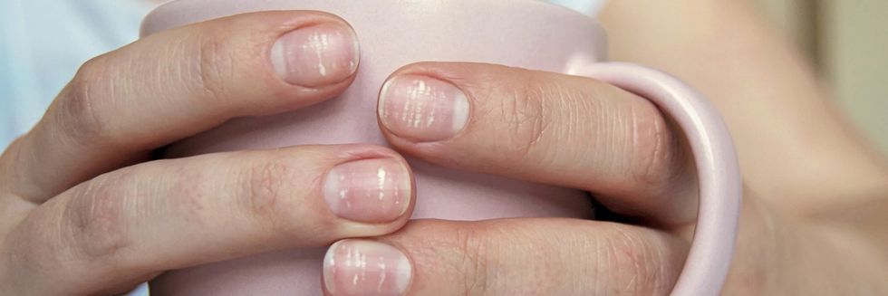 6 ad537b20 83b7 48fa 8fcd 59e6e24f49be