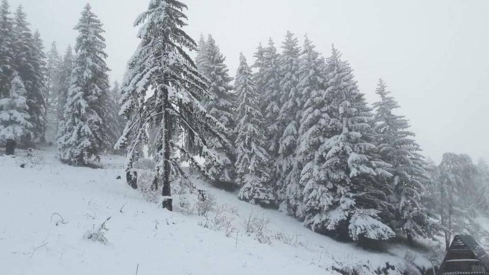 60080311 2158890414166504 6525823461875515392 n