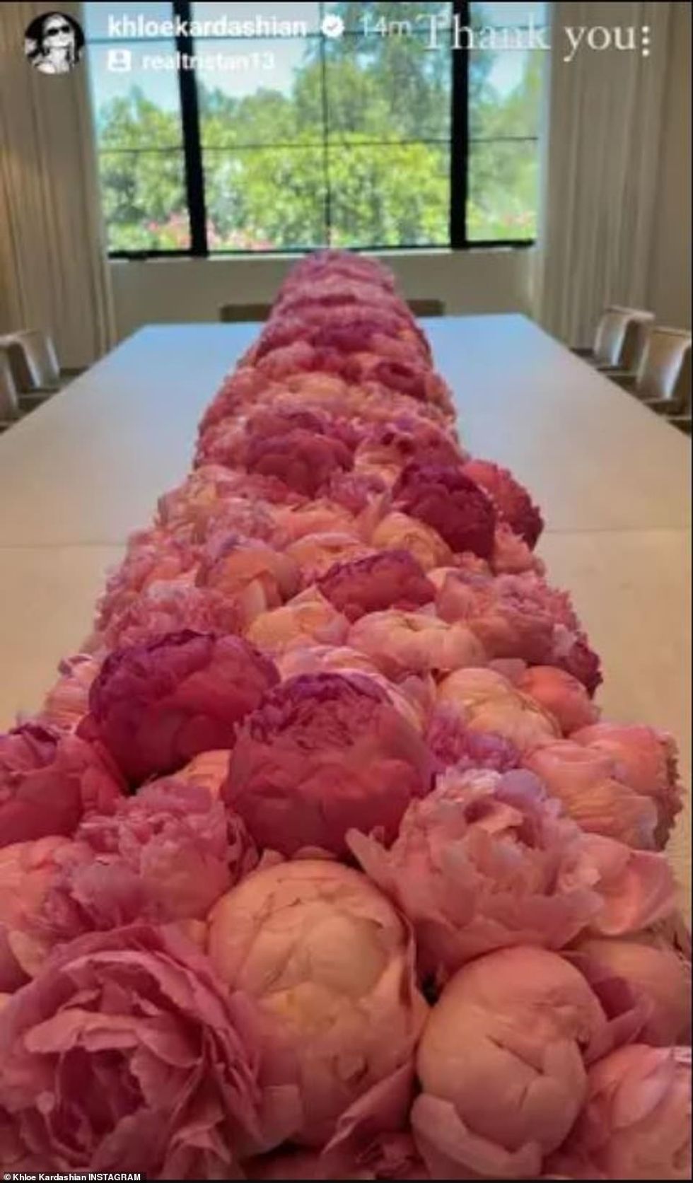 60155763 11010819 Birthday present In the original post she tagged the Chicago Bul a 124 1657735908739