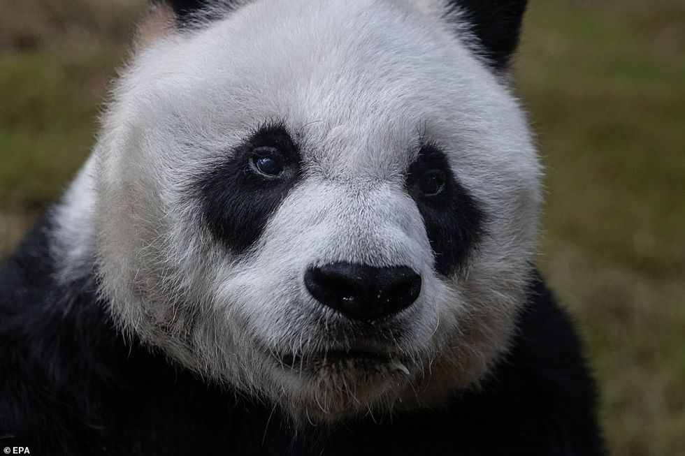 60521963 11034523 image a 3 1658384883114