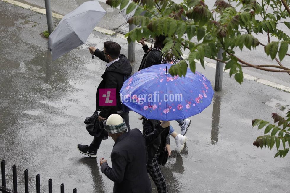 60534943 335045597208284 7288272979748716544 n