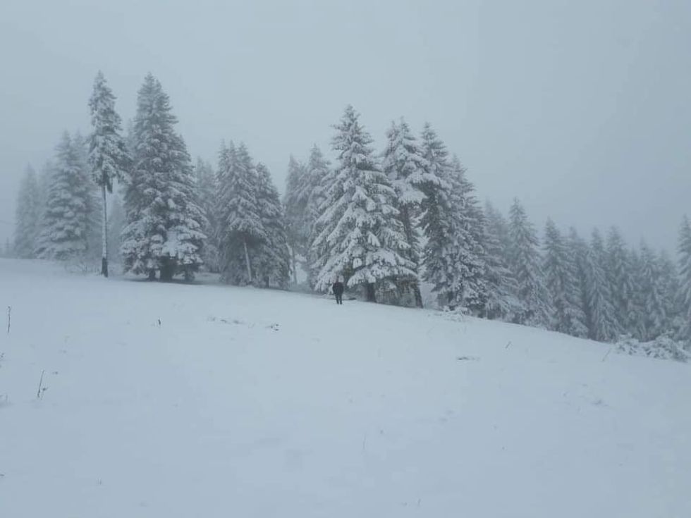 60563610 2158890407499838 2981916925128343552 n