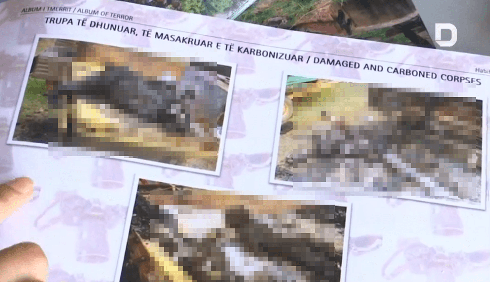 61047293 347220759268519 7837196536348934144 n