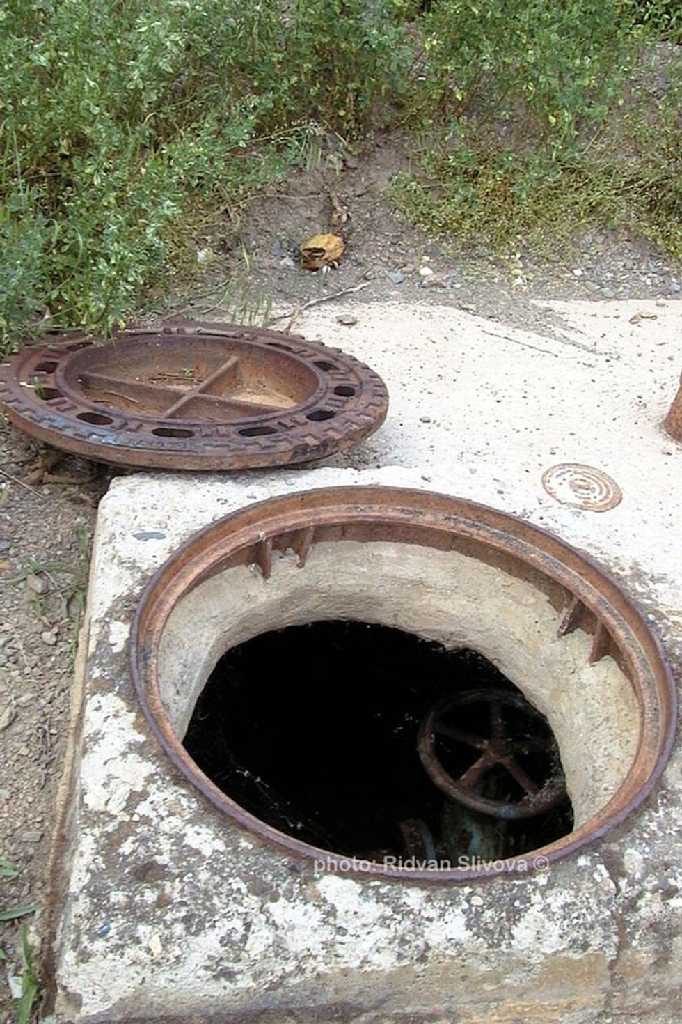 61122510 586957805130086 2569468913590992896 n