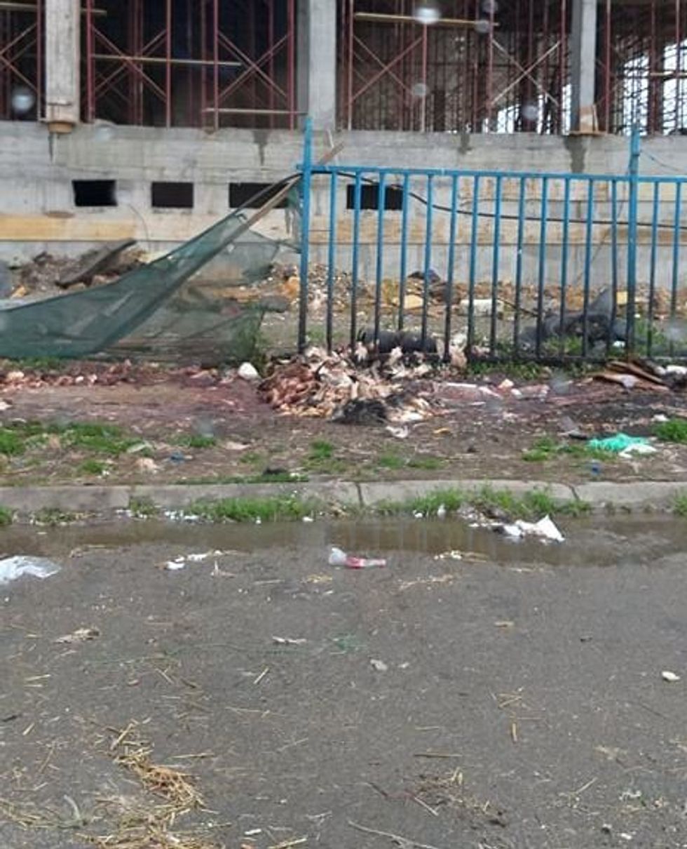 61321256 419915975513434 2666466545198170112 n