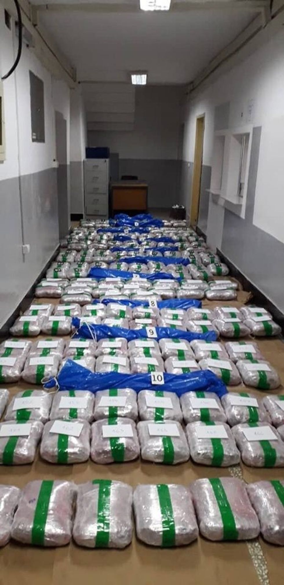 61446388 1065610993622530 4364308855799152640 n