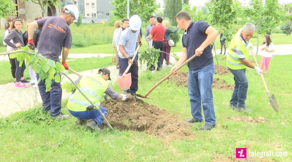 61521118 1296248283864814 4221114109279600640 n