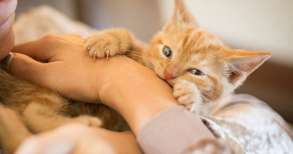 61681a3b75a7c0bd91be329cc6e3863f