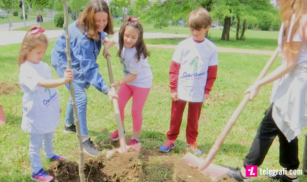 61731393 390176178261024 7212143288562745344 n