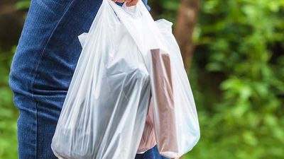 2023/10/Person-walking-past-greenery-carrying-plastic-carrier-bags-signpost.jpeg