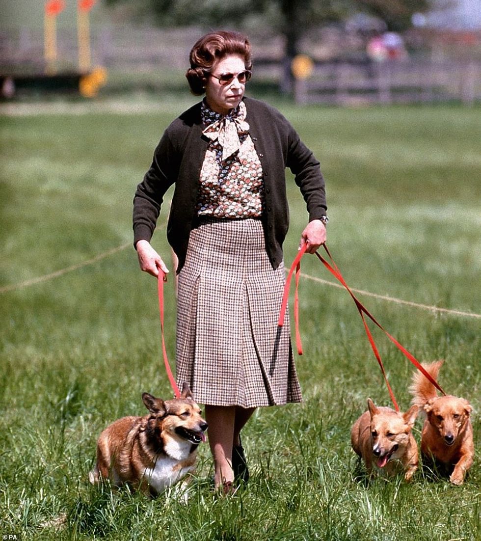 62240071 11196443 Queen Elizabeth II with some of her corgis walking the Cross Cou m 42 1662732453109