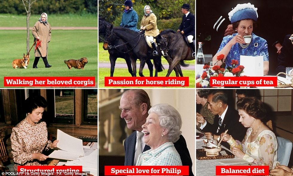 62243617 11196443 image a 25 1662730300263