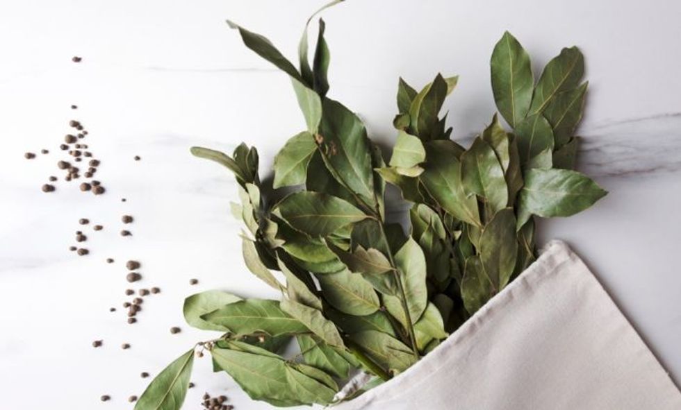 62295b42219d365945f6310a89afcaf0558030dc