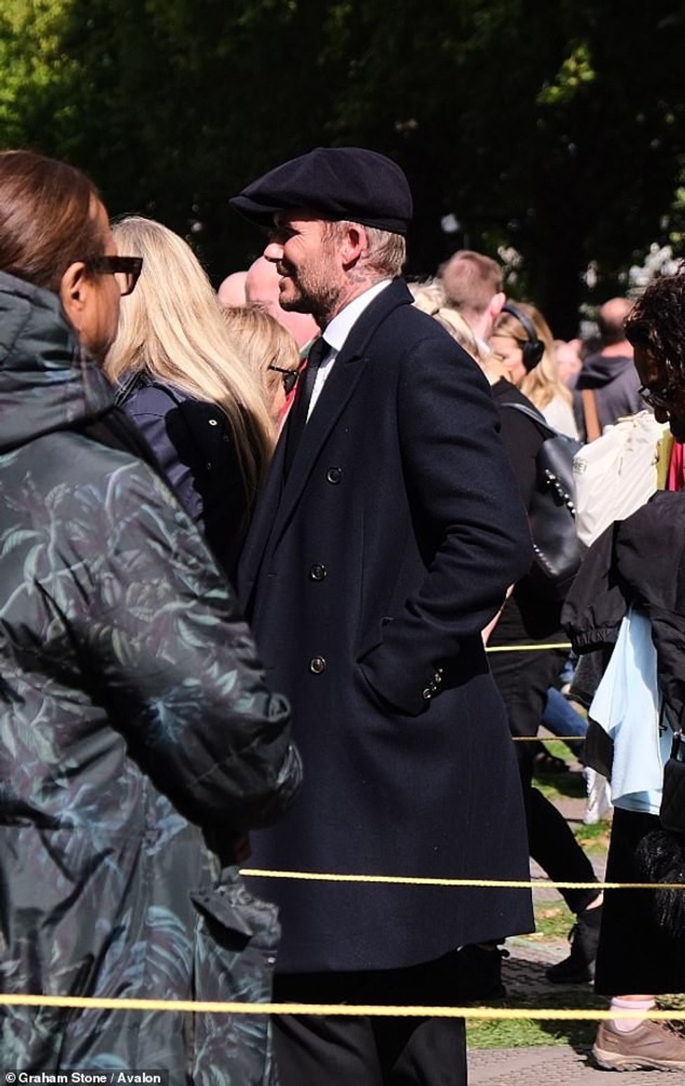 62480675 11219511 image m 40 1663332530894