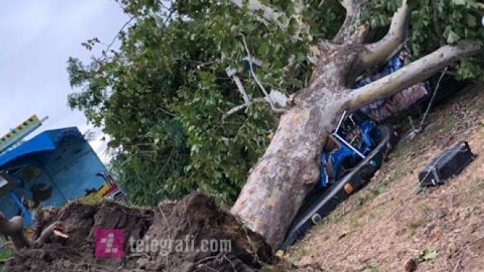 62538944 354427752136286 2202285016925339648 n