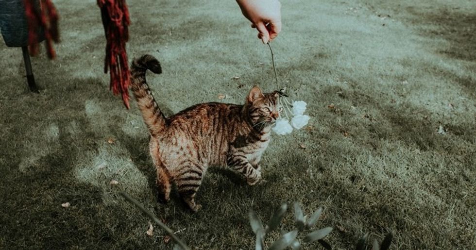 6303c085 c294 45fc ba4a 9865b8eda1d6