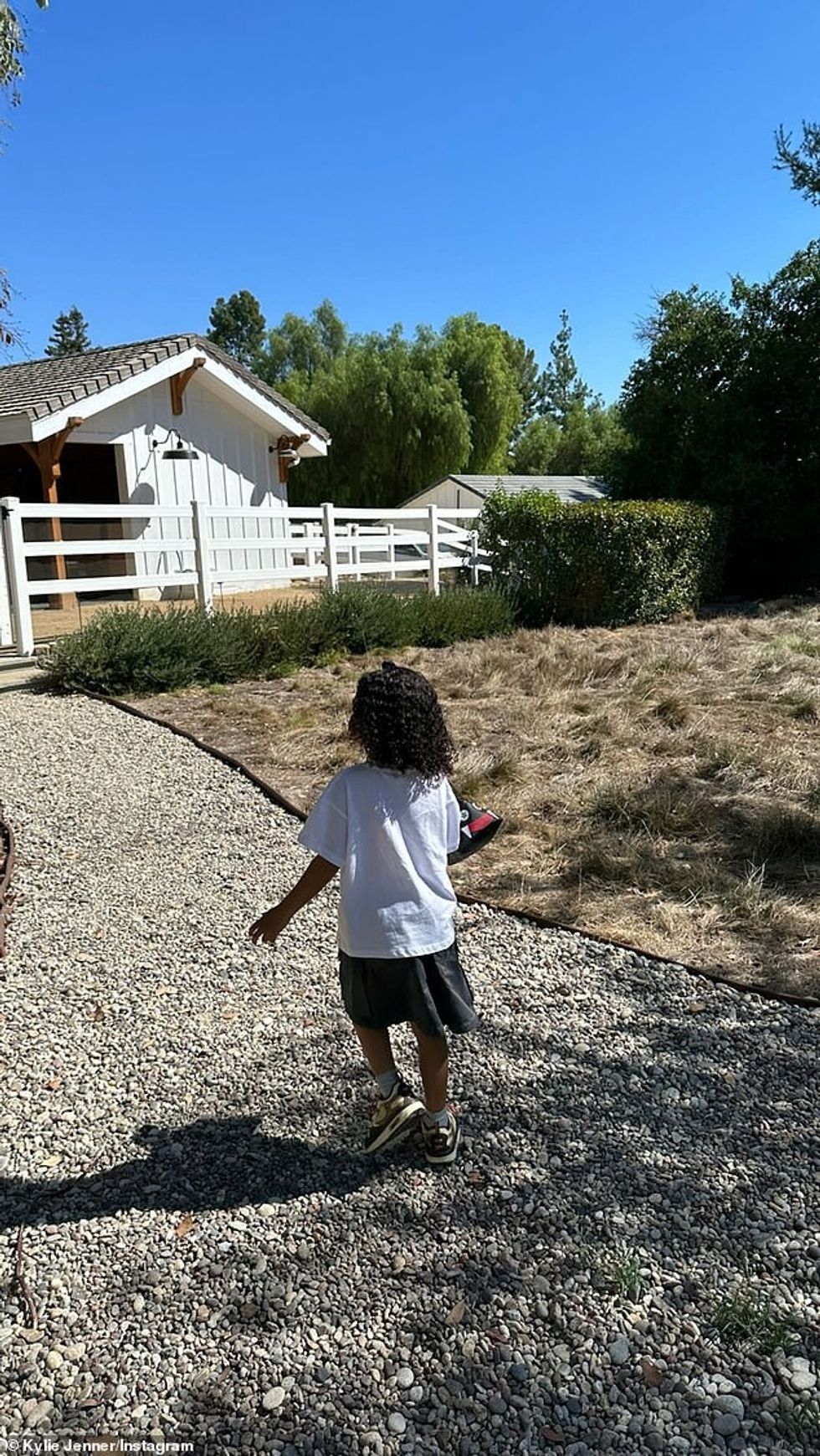 63155065 11284935 image m 139 1665007567706