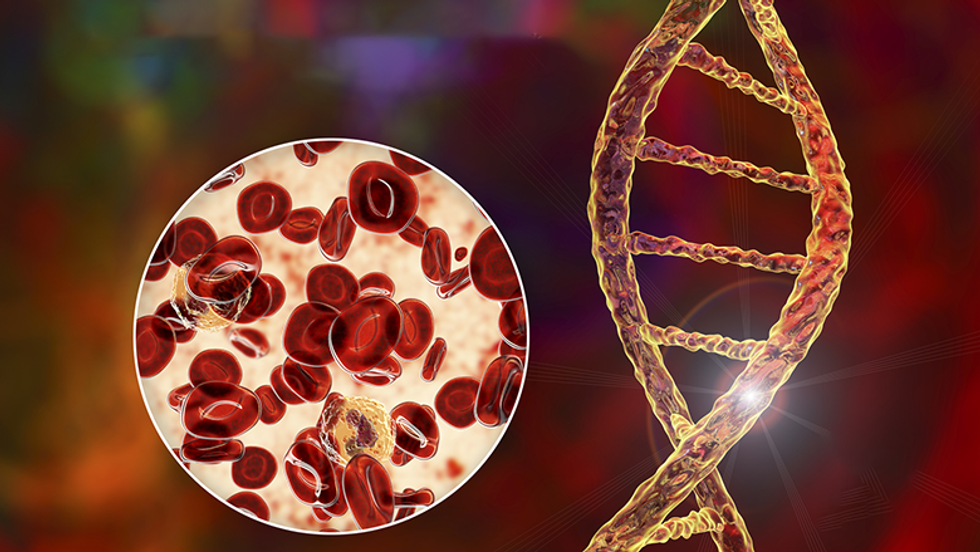 636c2484b520df9e426a1ca3 know your0h2o polycythemia vera