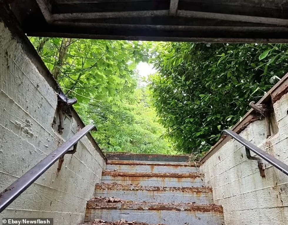 64223767 11393677 image m 41 166