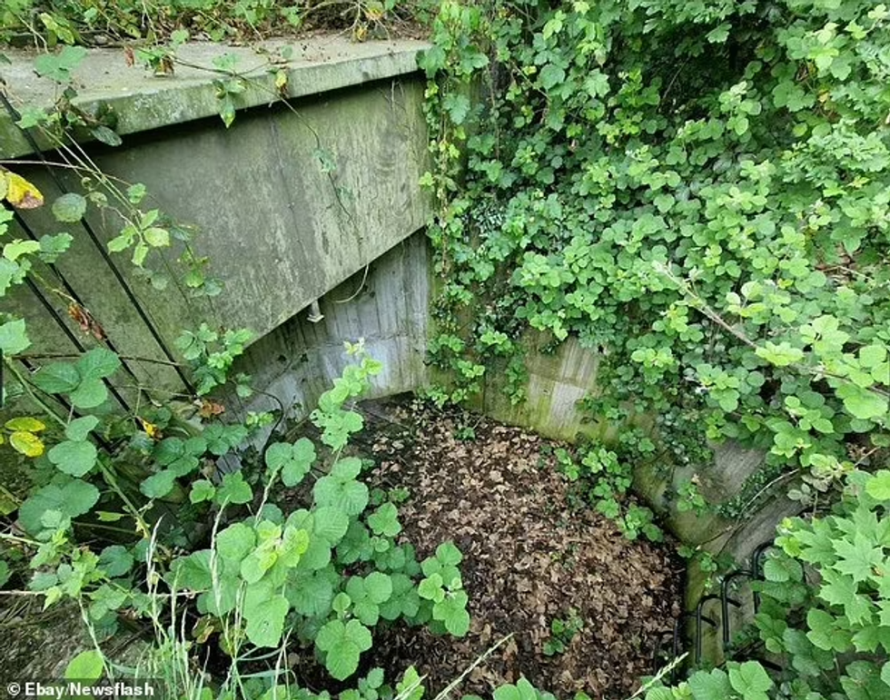 64223771 11393677 image m 43 166