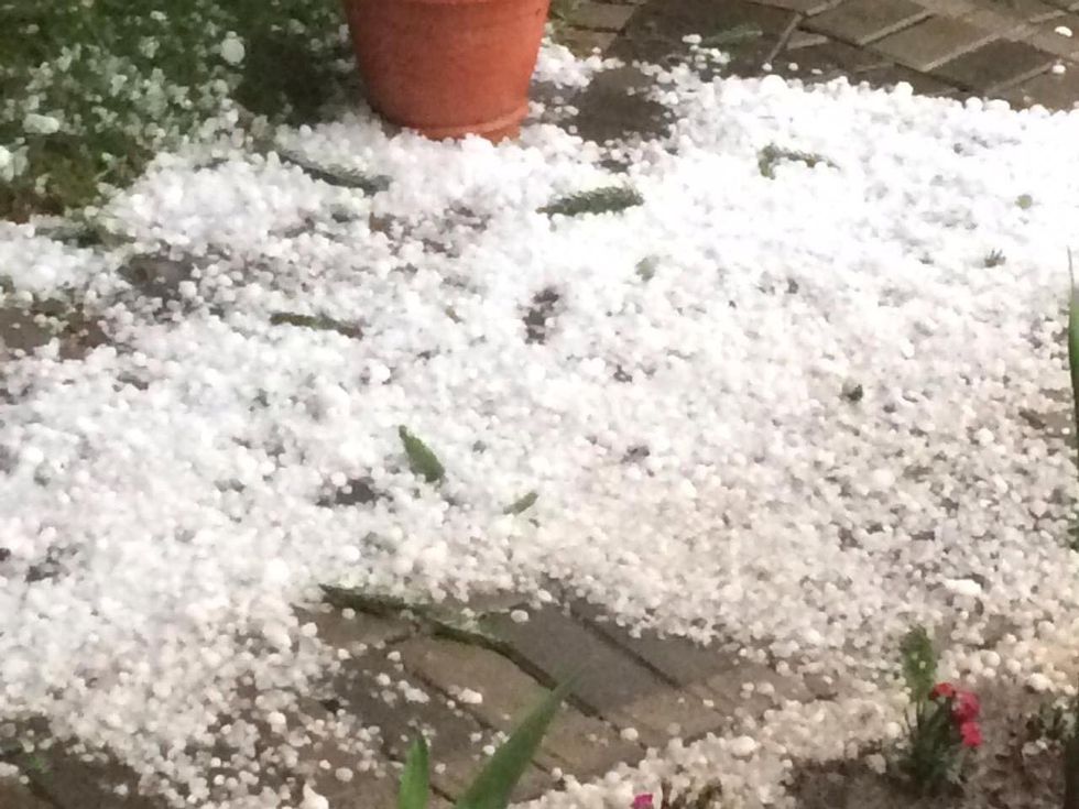 64603539 2745091245561219 8410378184201076736 n