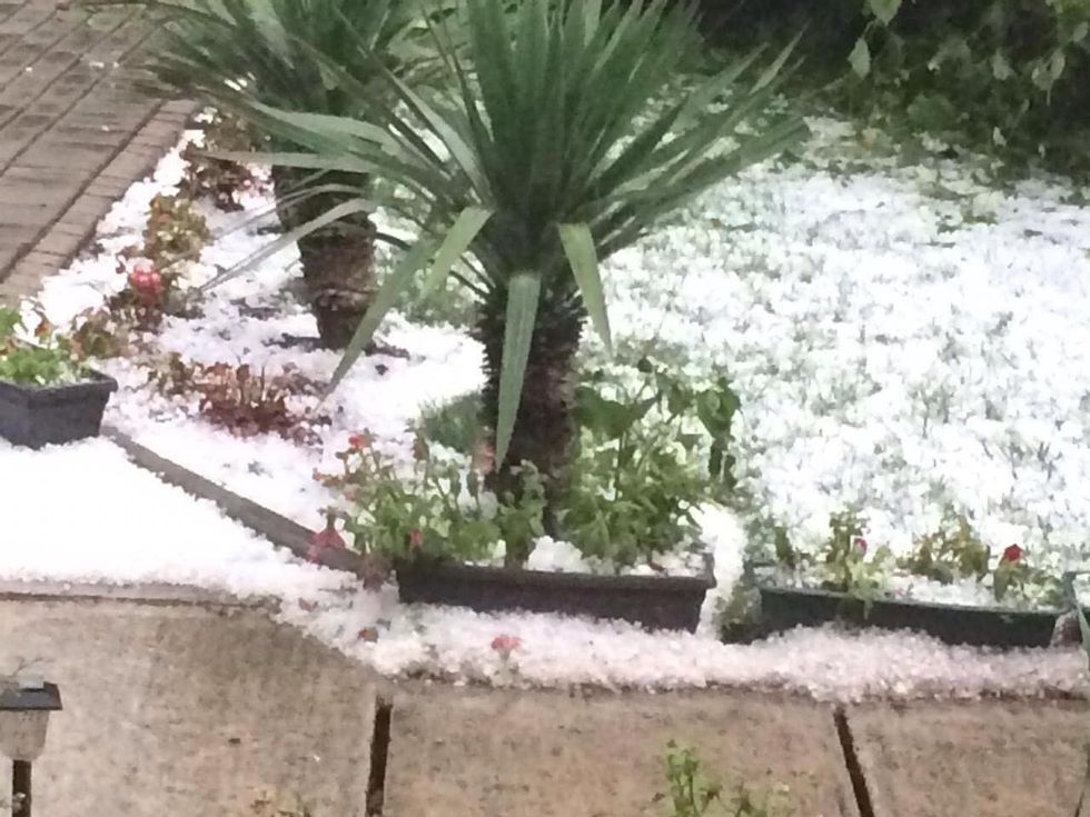 64728815 420870602095862 7928281681616699392 n