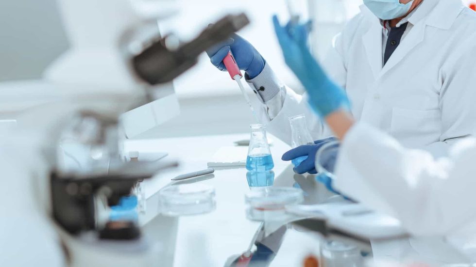 64a86181 0bcc 4fe1 87e2 158c8ed9bb15 alta libre aspect ratio default 0