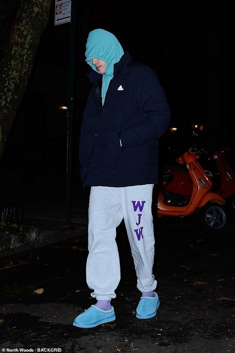 65233605 11501507 Inconspicuous The former SNL performer 29 covered half of his fa a 4 1670208538354