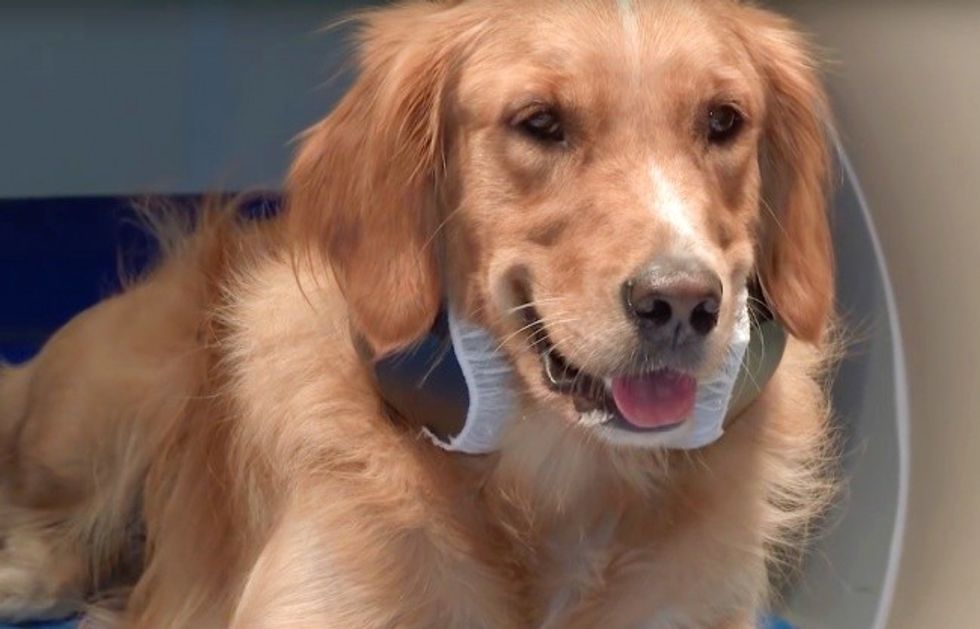 6587260-2016-08-31112103-1472632546-650-d4e2bc3255-1473530261