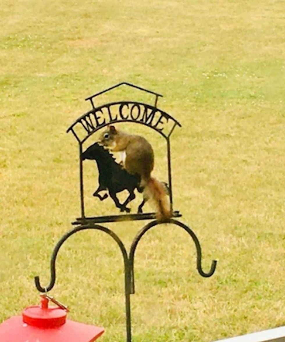 658925e2 85a9 4813 aec8 03a5e9d22484