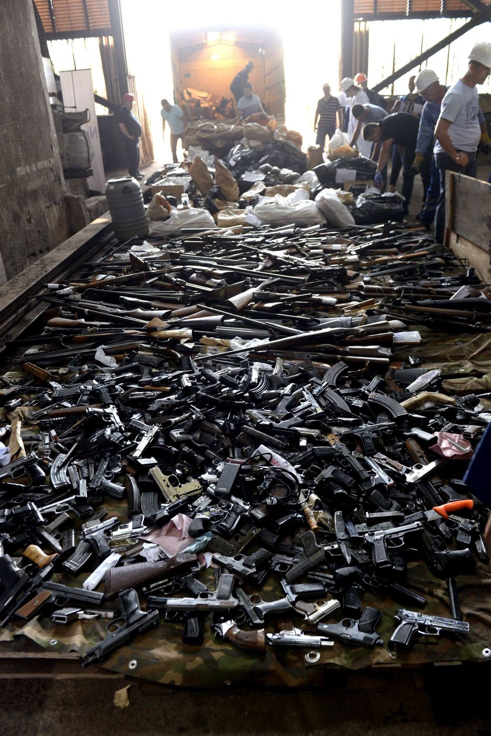 66254557 661383524273665 4332164135144914944 n