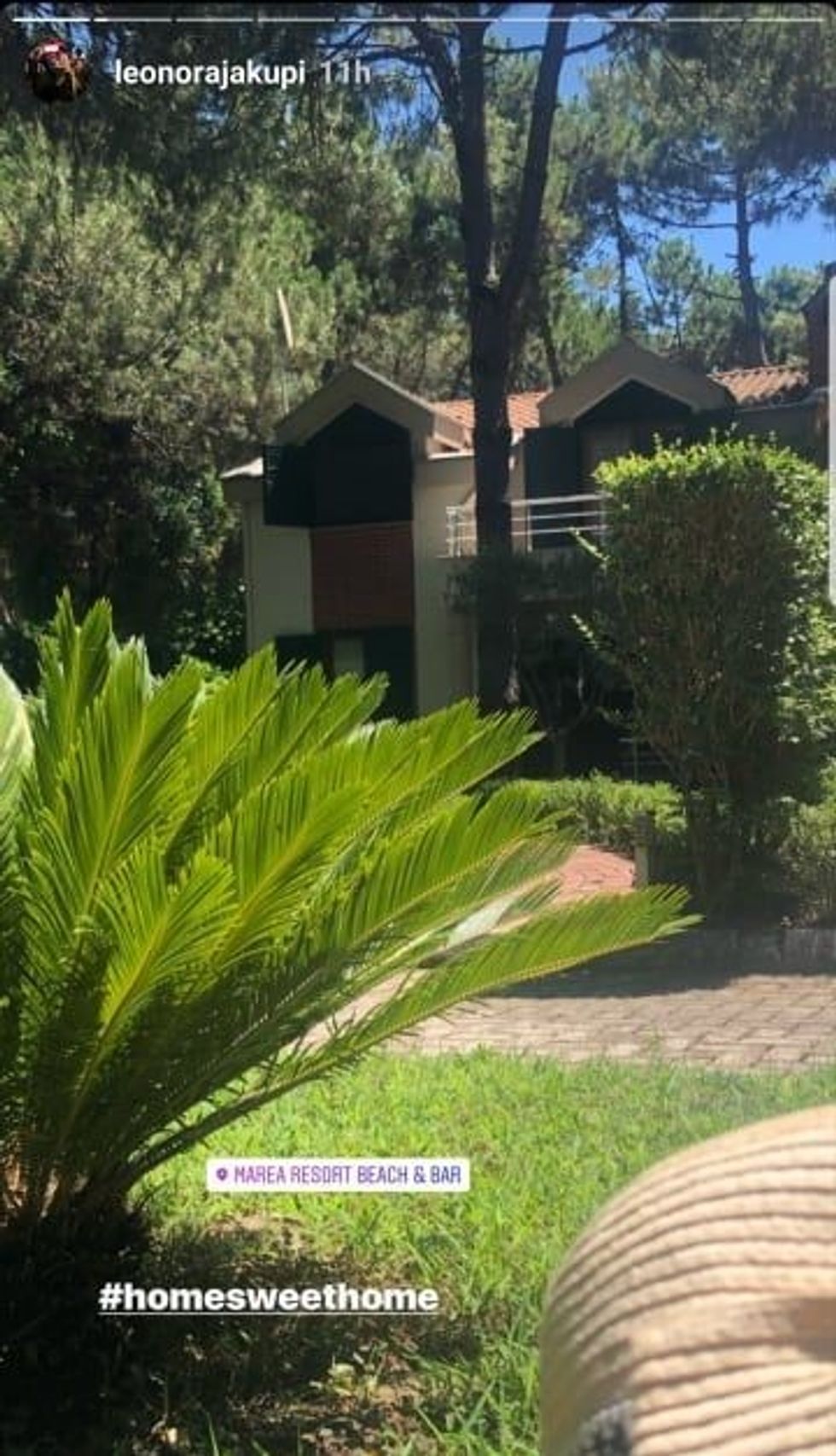 66339935 385678015414151 8681142706476417024 n e1562909851654