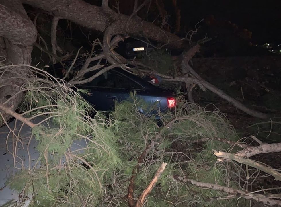 66416073 343651053219529 8400378937695272960 n