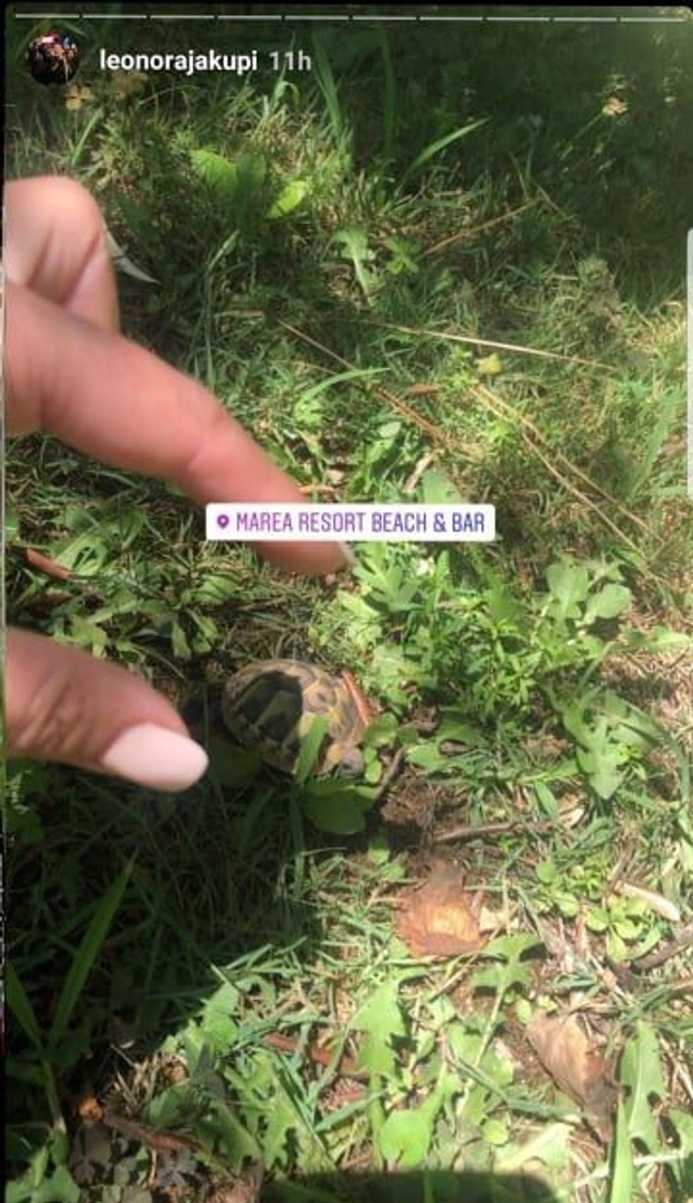 66999176 1135016500015437 3486520392078589952 n e1562909836547