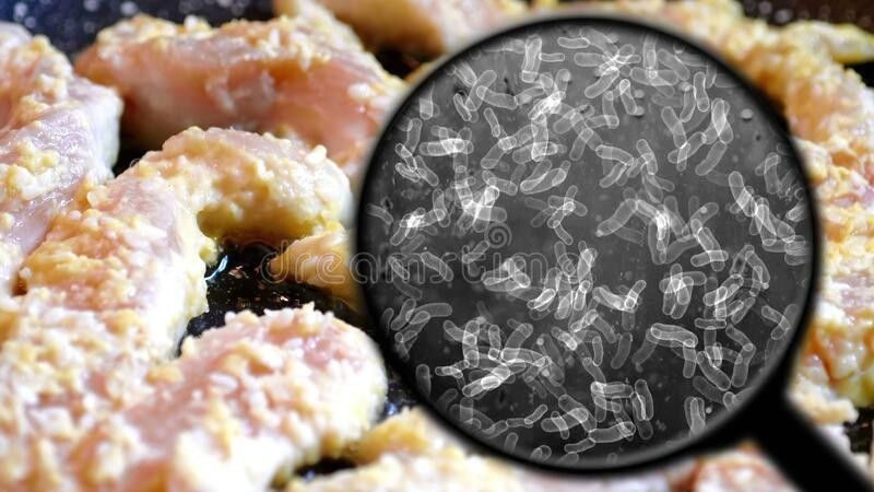 These chicken pieces are full of bacteria and parasites - you should never eat them - The Telegraph