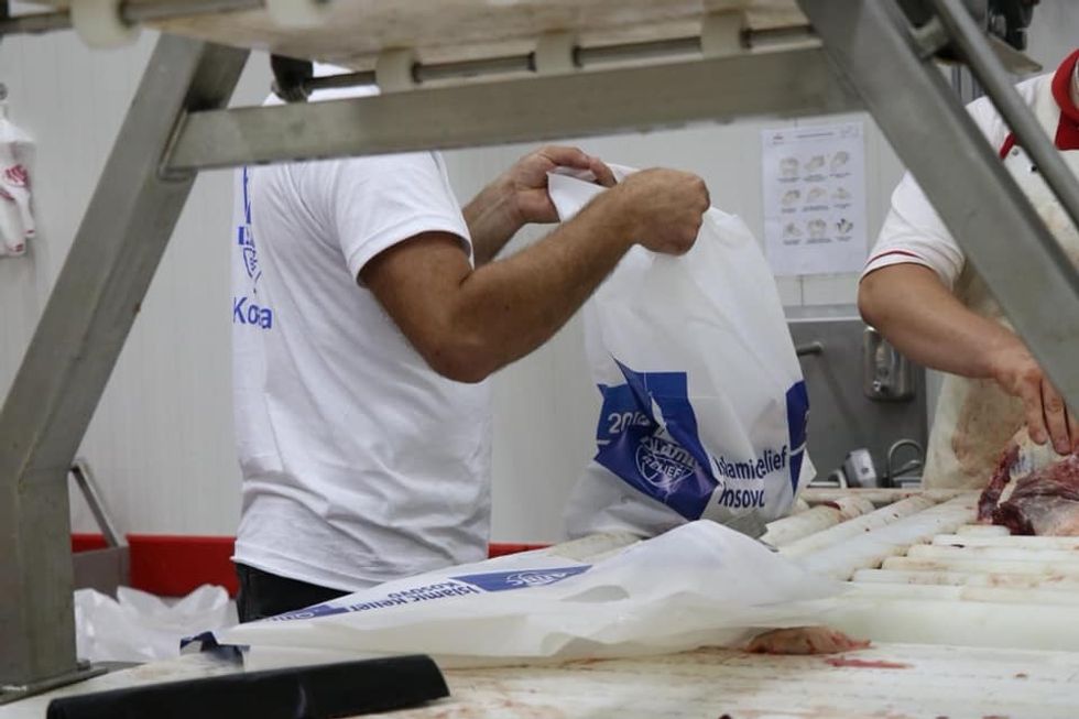 67688112 1307196232787559 4565645270389358592 n