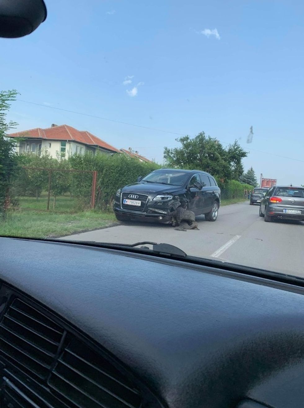 67713538 682096608881797 570993679842410496 n