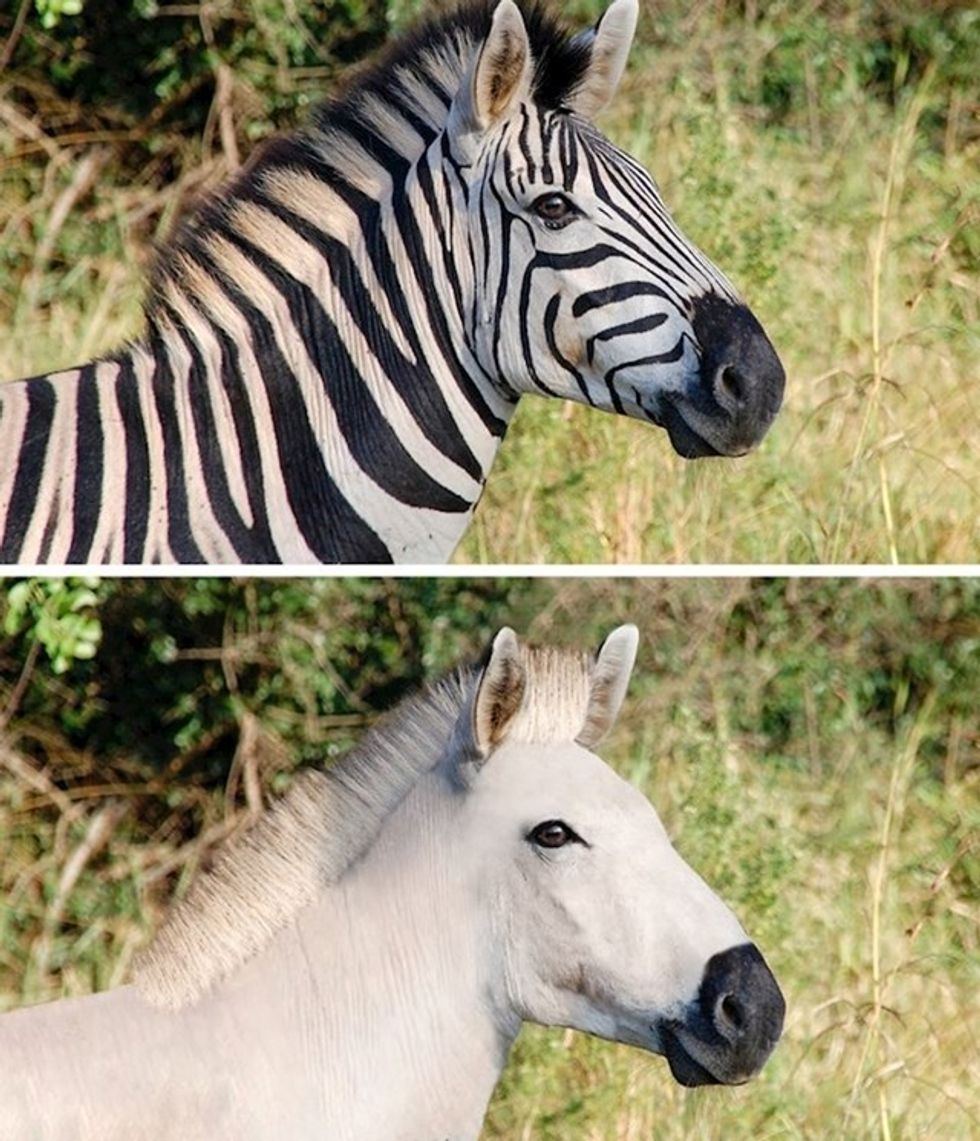 678c186d 47ab 42aa aad6 f812e6ca21a8