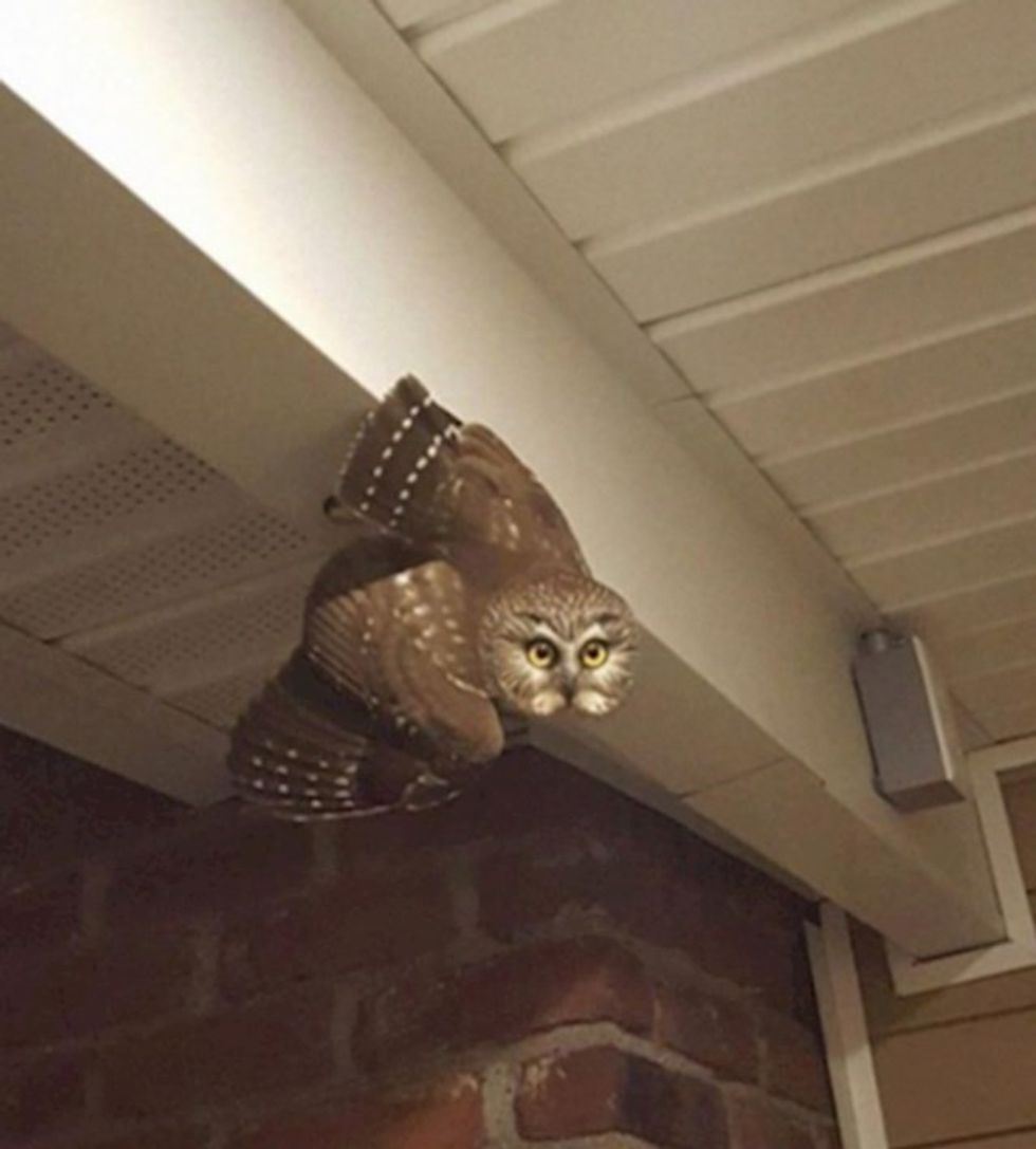 67a5df76 fbea 47a7 be69 bfaa5459d812