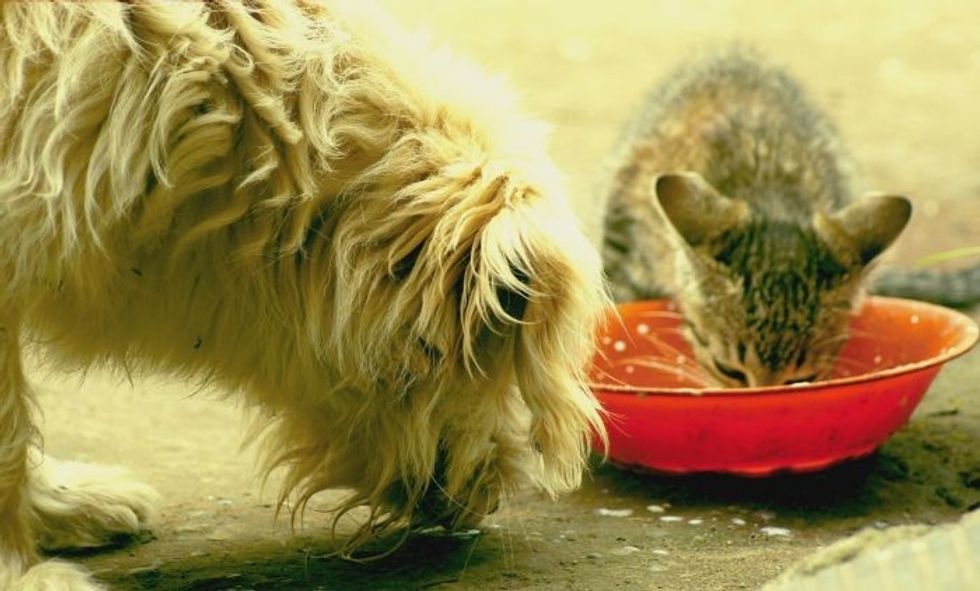 67ecb8e4f4c2283560b8bc1ac61b94b4b2d09ce7