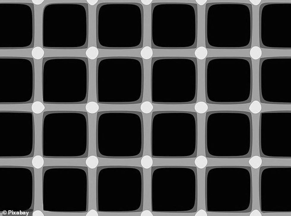68066769 11790139 What colour are the circles in this grid Do you see more than on a 3 1677404868150