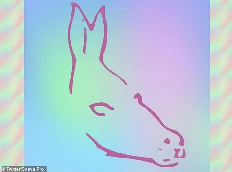 68066775 11790139 What animal do you see in this image Most people say they see on a 6 1677404868343