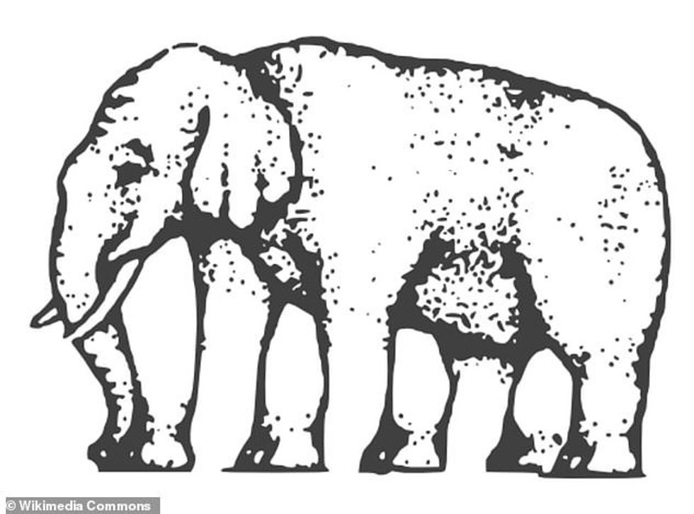68066779 11790139 How many legs does this elephant have a 7 1677404868439